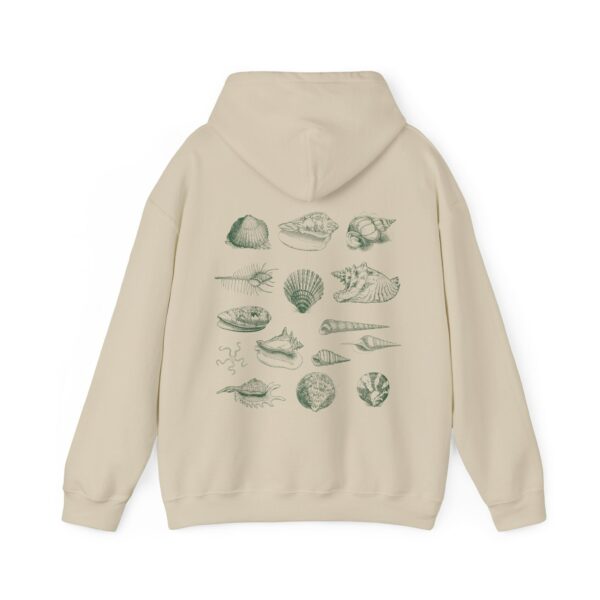 Seashell Hoodie Coconut Girl Clothes Ocean Inspired Beach Stuff Outdoorsy Gift Beachy Hoodies Conch Shell Cowry Shell Clam Shell Sweatshirt