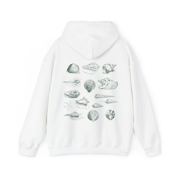 Seashell Hoodie Coconut Girl Clothes Ocean Inspired Beach Stuff Outdoorsy Gift Beachy Hoodies Conch Shell Cowry Shell Clam Shell Sweatshirt