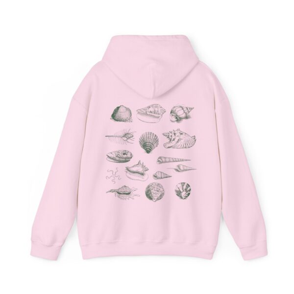 Seashell Hoodie Coconut Girl Clothes Ocean Inspired Beach Stuff Outdoorsy Gift Beachy Hoodies Conch Shell Cowry Shell Clam Shell Sweatshirt