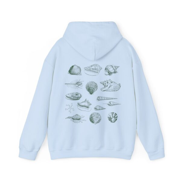 Seashell Hoodie Coconut Girl Clothes Ocean Inspired Beach Stuff Outdoorsy Gift Beachy Hoodies Conch Shell Cowry Shell Clam Shell Sweatshirt